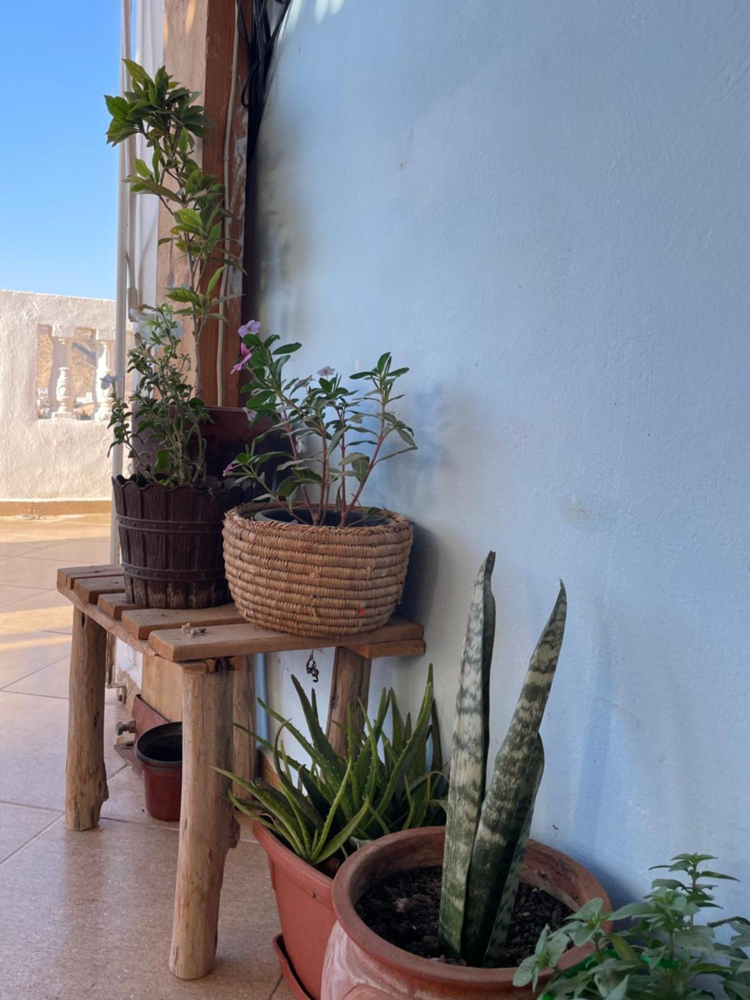 Kosasurfmorocco Hotel Aourir Luaran gambar